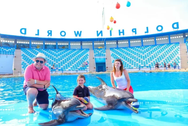 Dolphin Show