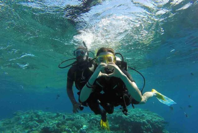 Scuba Diving Day